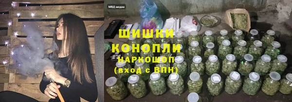 PSILOCYBIN Медвежьегорск