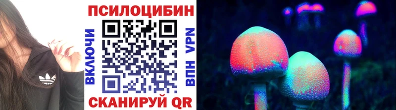 закладки  Иваново  Галлюциногенные грибы Psilocybe 